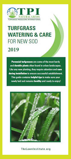 Turf Grass Water & Care Guide